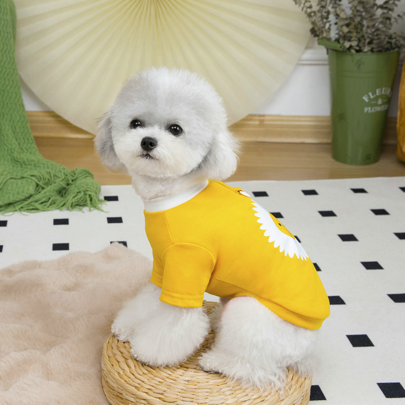 Teddy Bomei Spring Fall Dog Clothing Fashion Small Pets Animal Apparel Accessories| Alibaba.com Teddy Bomei Spring Fall Dog Clothing Fashion Small Pets Animal Apparel Accessories| Alibaba.com