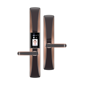 Smart Lock Fingerprint Electronic Face Recognition Fingerprint Smart Door Lock