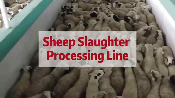 Maisheng Sheep Slaughter Line Halal Slaughterhouse Butcher Equipment ...