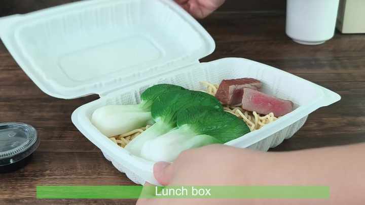 9*6inch Compartment Food Container Eco-friendly Disposable