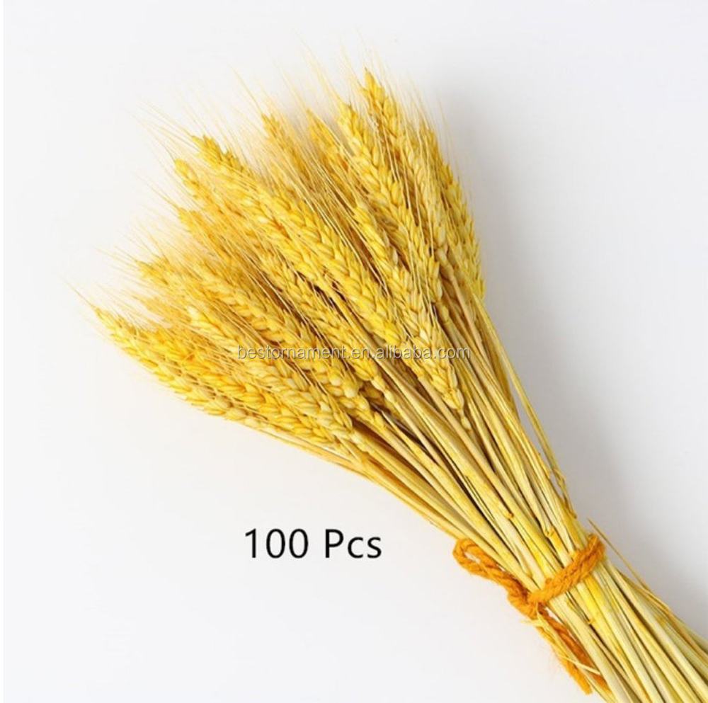 100Pcs/lot Real Natural Wheat Ear Flower Bouquets Wedding Bouquet Dried Flowers Decor