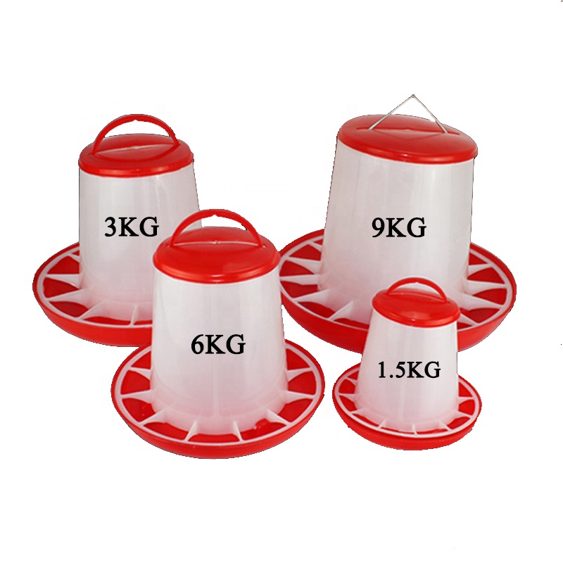 China Chicken Feeder China Chicken Feeder Manufacturers And