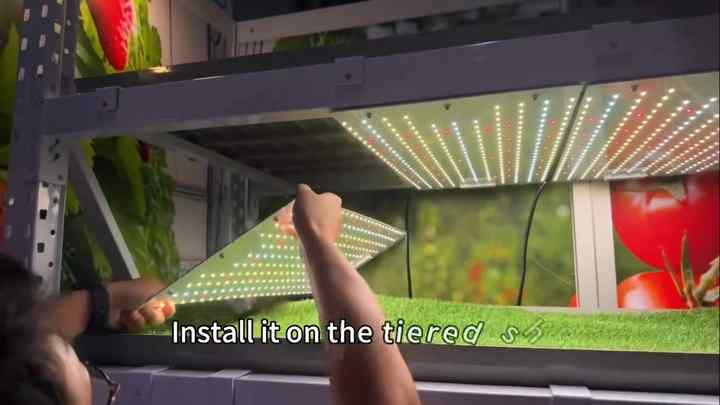 240W Plant Quantum LED Board Dimmable 3 Spectra Indoor Farming Vertical ...
