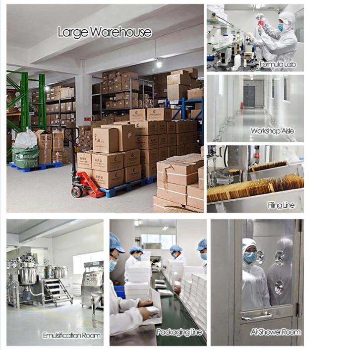 Anti Aging Wrinkle Moisturizer Face Care 24K Advanced Gold Serum