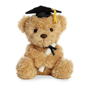graduation teddy bears bulk