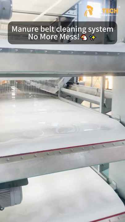 RETECH Farming Full Automatic Layer Cage System Modern Solution for ...