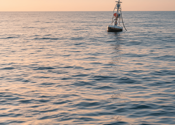 Great White Shark Tracking Reveals Seasonal Customer Patterns