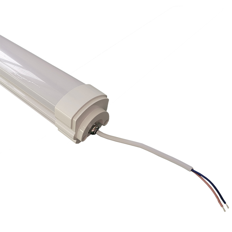 Водонепроницаемый класс IP66 холодный свет хранения