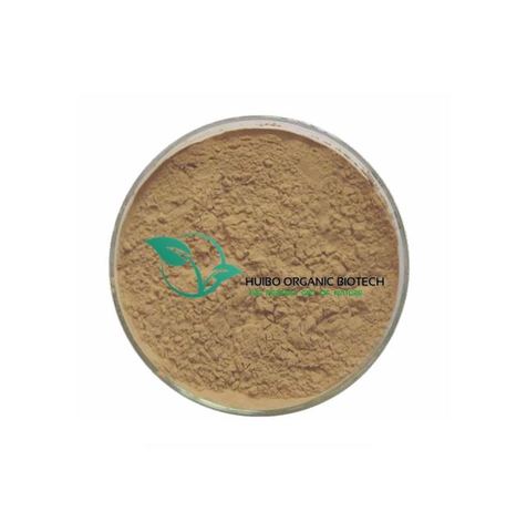 blend mushroom extract polysaccharide 30%, maitake, lions mane