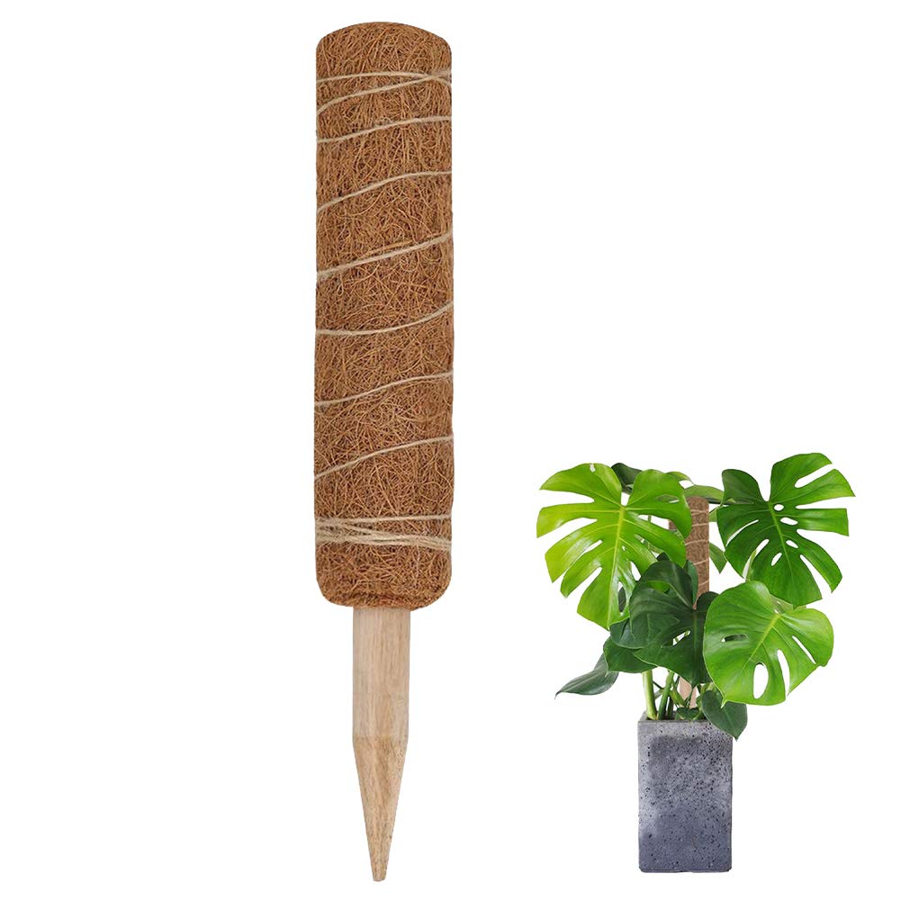 Creepers 23.6inch Coir Totem Pole Natural and Organic Coir Moss Totem Pole Coir Moss Stick for Plant Support Extension Climbing Indoor Plants