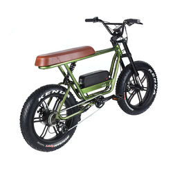 Hot sale 48V disc 14.5AH lithium battery steel frame brake powerful adults long range ebike snow bicycle