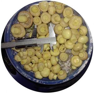 preserved vegetables