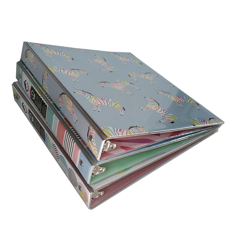 Пользовательская дешевая пластиковая папка для файлов A4