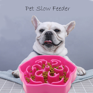 ergo systems auto pet feeder