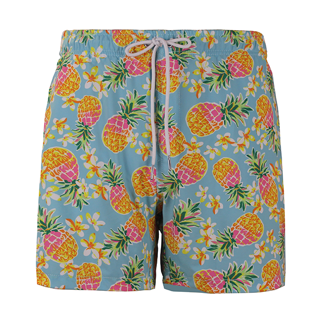 JIA LI Mens Board Shorts Paisley Summer Printed Quick-Dry Swim Trunks Beach Shorts