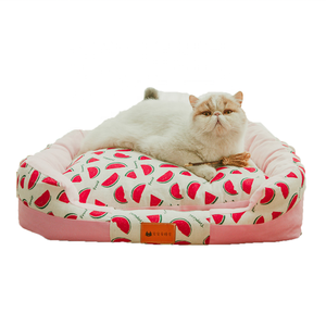 frisco foldable canopy cat bed