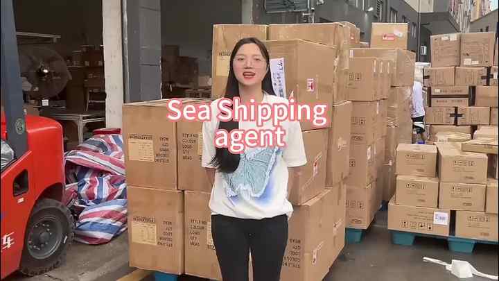Full - Container Load Ocean Freight From China to the US, Professional ...