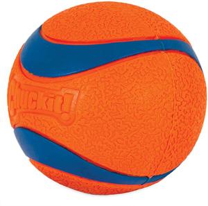 chuck it balls bulk