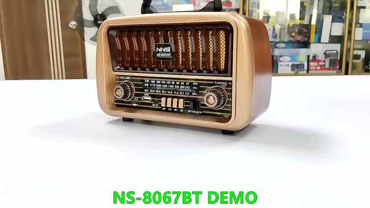 Redwingy NS-8067BT - Portable FM Radio with Bluetooth