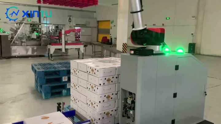 PLC Controlled Robotic Automatic Palletizer for Beverage Efficiently ...