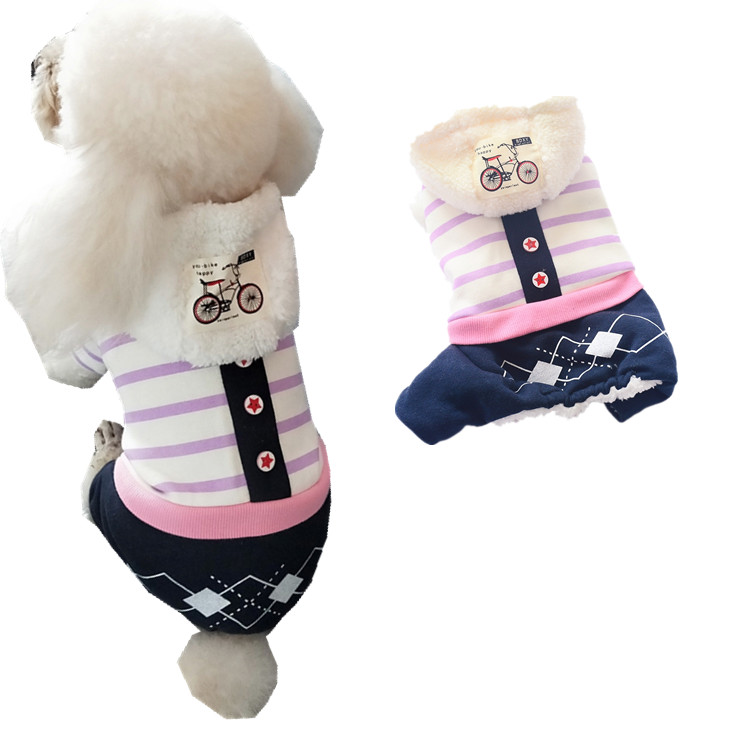 xxl dog clothes shop