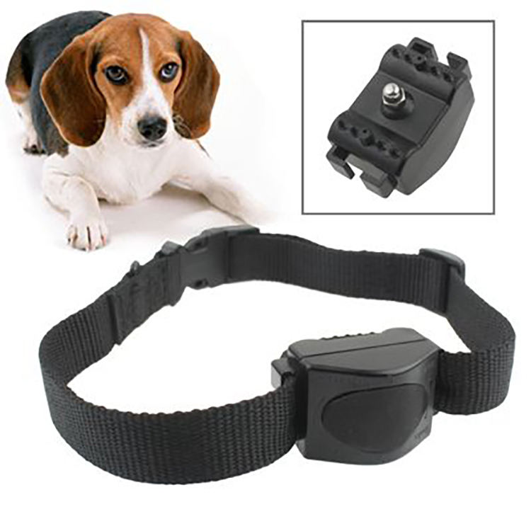 bark collar petstock
