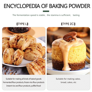 types of bread improver