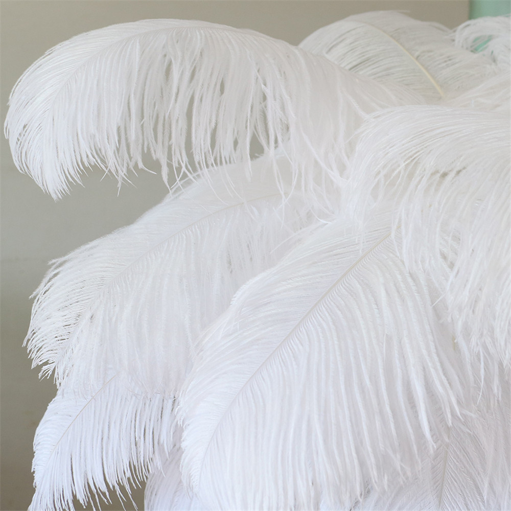 large white feathers wholesale