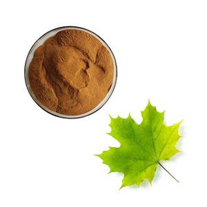 Ersatz fuer ahorn extrakt