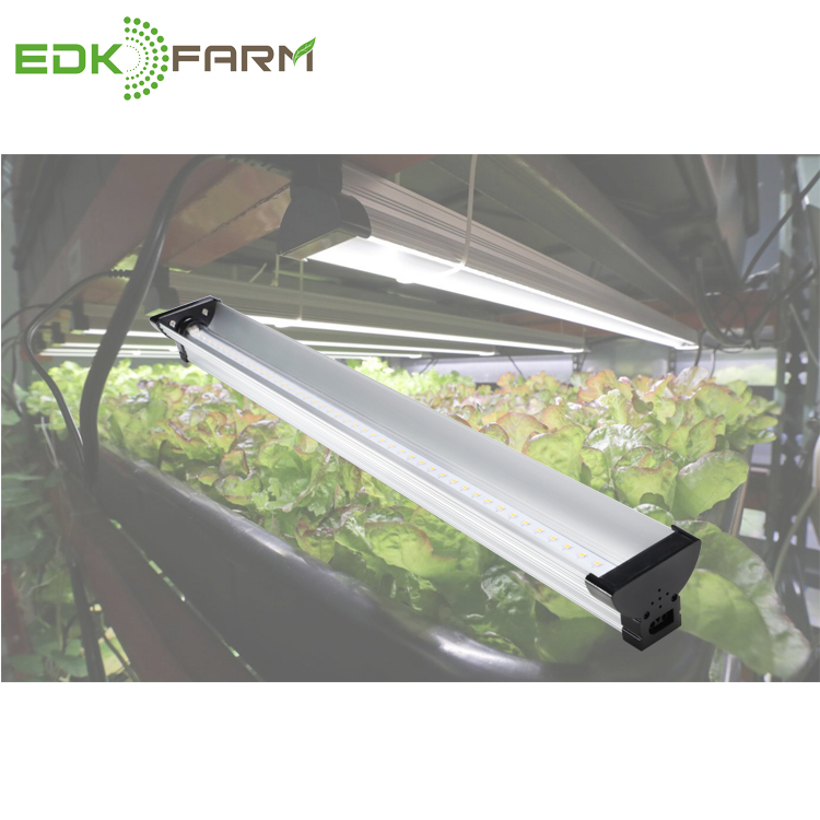 Edk Farm Manufacture Reptiles Aquarium Fish And Hydroponic Systems Led Grow Light For Sale Buy Led Grow Light For Sale Hydroponic Systems Manufacture Reptiles Aquarium Fish Product On Alibaba Com