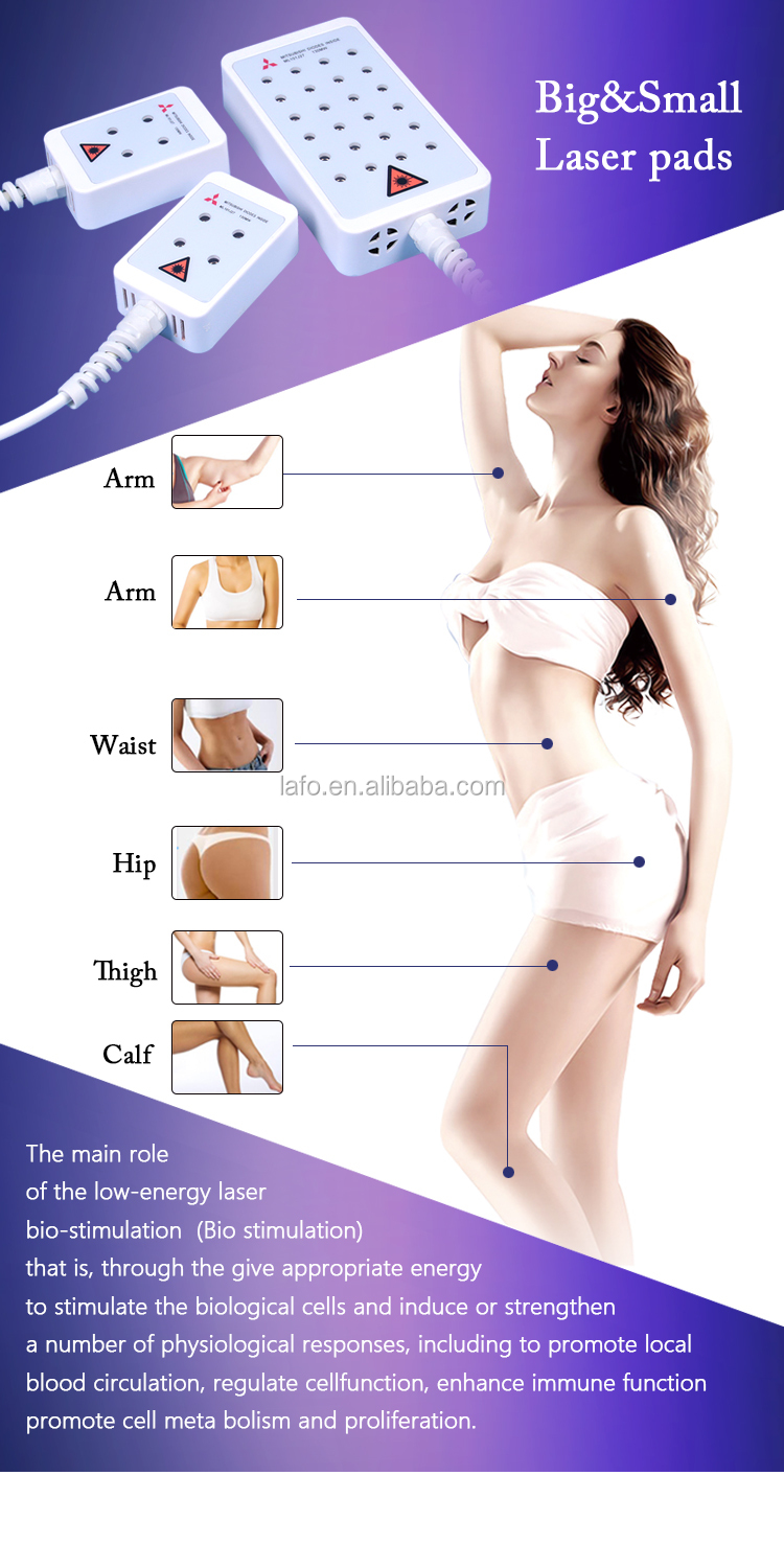 CE Approved Best Dual Wavelength Lipo Cold Laser 650nm 980nm Lipo Laser Lipolaser Machines for Sale LF-318