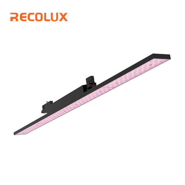 Светодиодная дорожка для мяса, красного мяса, фруктов, рыбы, хлеба, пищевых продуктов