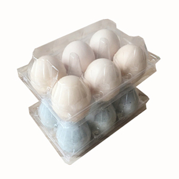 6holes PET PVC plastic egg tray for packing eggs