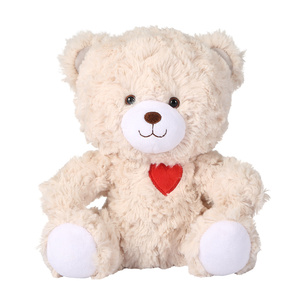 custom made teddy bear with voice message