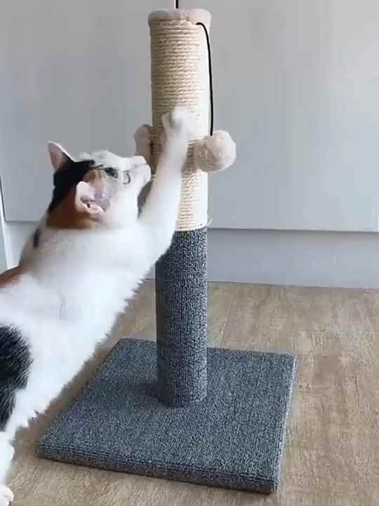 laser light cat toy Automatic Laser Cat Toy main image 1
