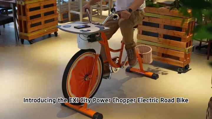 EXI 24V Aluminum Alloy Hybrid Unicycle Pedal Power Bike