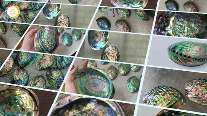 ベトナム産のアワビ貝の虹色の魔法で、素晴らしい芸術と装飾を作りま