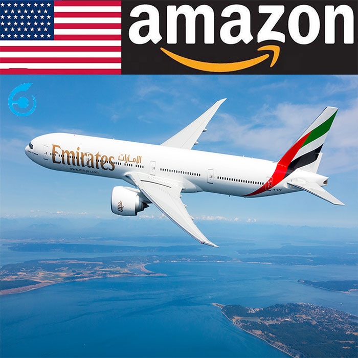 DDP Экспедитор груза Китай Шэньчжэнь в США Великобритания Германия Италия Франция Япония Канада Amazon fba склад по воздуху