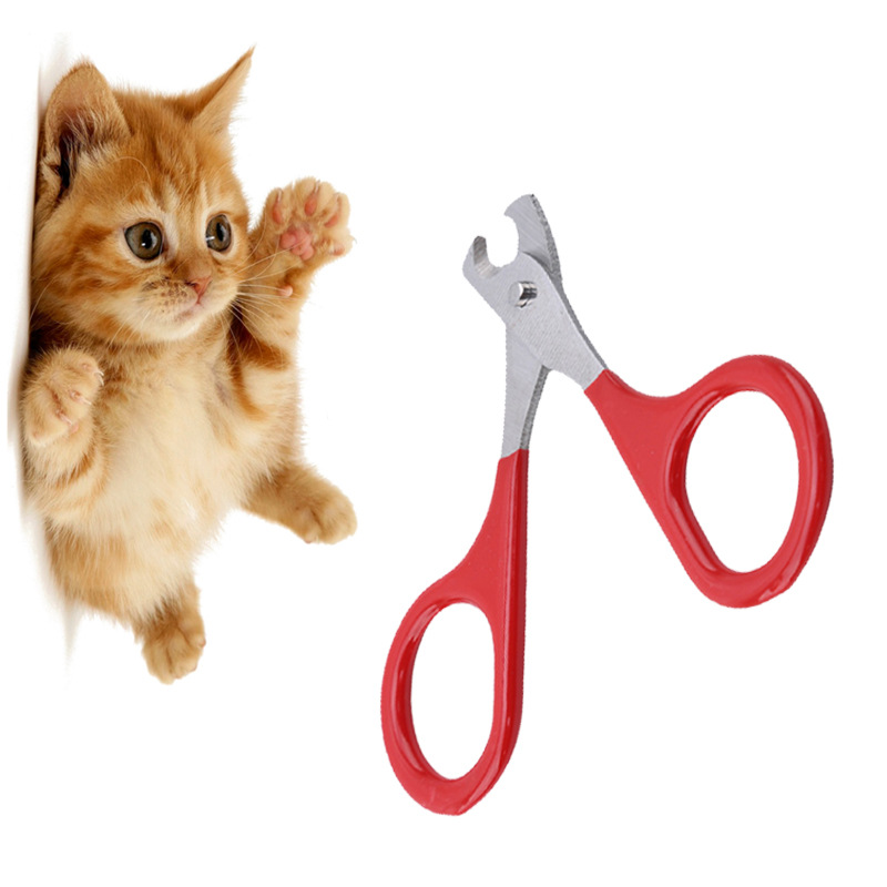 Stainless Steel Pet Grooming Scissors for Cats & Dogs 