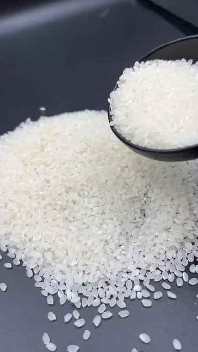 High-Quality Japonica Short Grain Rice Wholesale Export for Sushi ...
