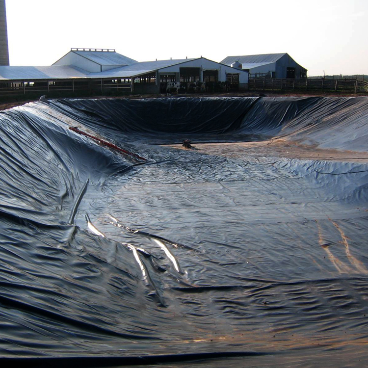 HDPE Рыбная ферма геомембрана гладкая геомембрана hdpe подкладка 1,5 мм геомембрана 1 мм Пруд Лайнер