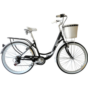 double dutch bike