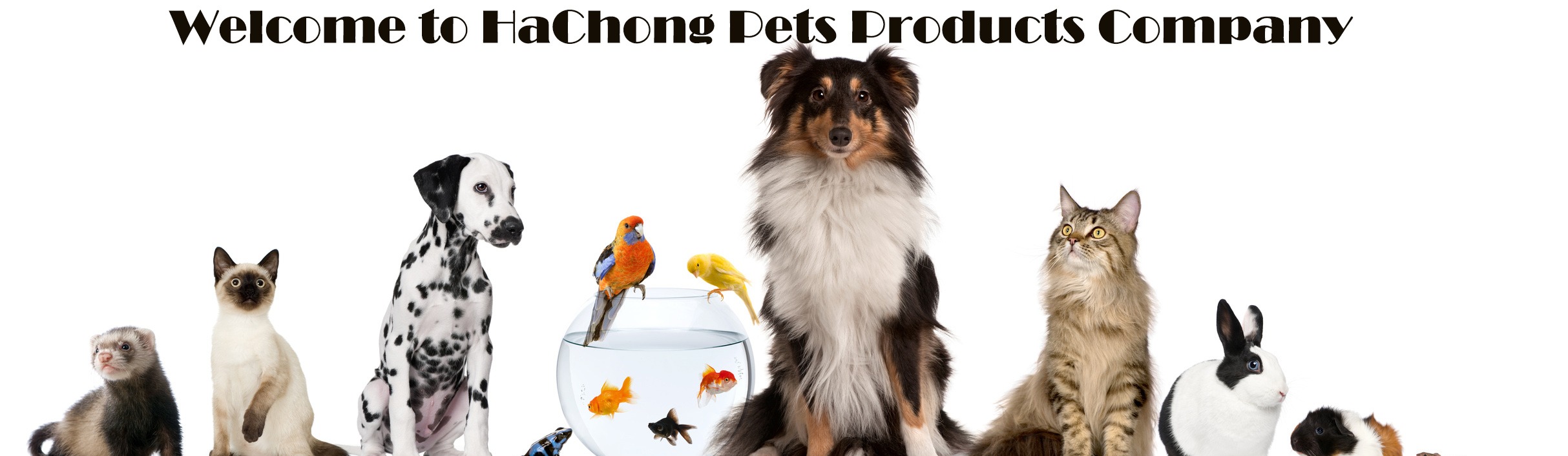 Hangzhou Hachong Pet Products Co., Ltd.