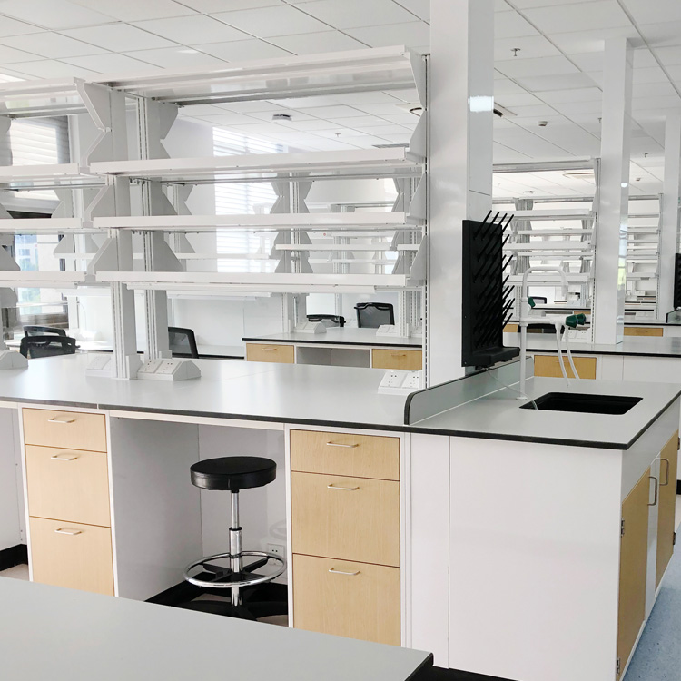 Biologic Laboratory Work Benches Adjustable Lab Bench Science Lab Work Bench Table