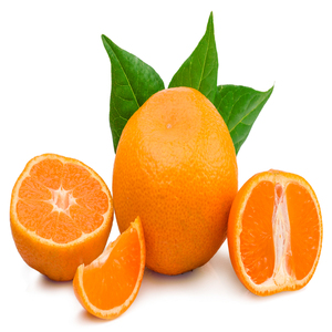 wholesale fresh mini orange fruit with great nutritional