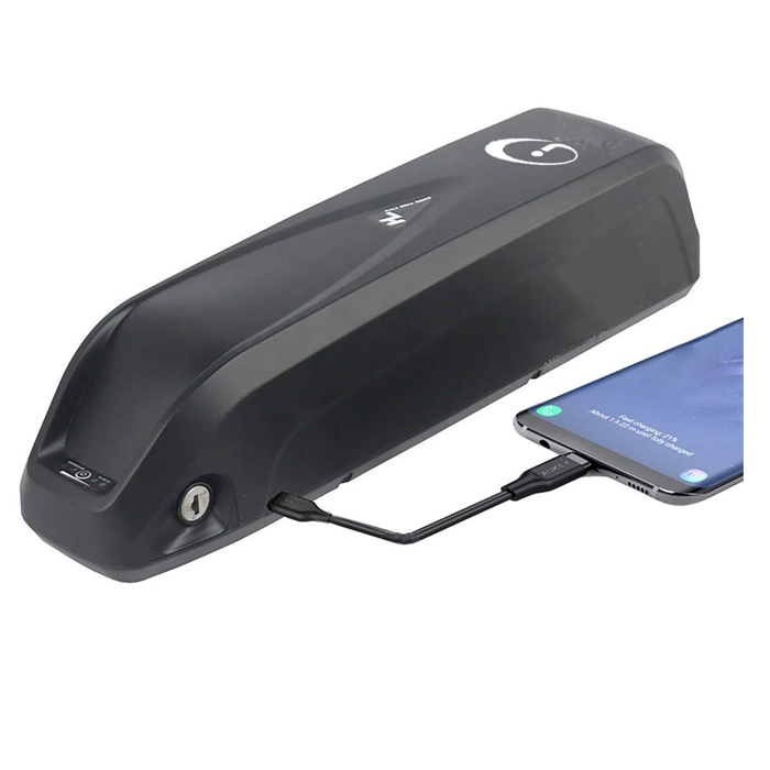 GC/® Batterie V/élo Electrique 36V 15Ah Li-ION Silverfish E-Bike Batterie avec Chargeur