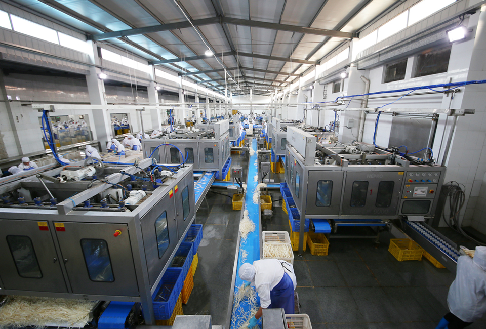 甜玉米在真空包装中国工厂阿联酋/ksa/俄罗斯市场