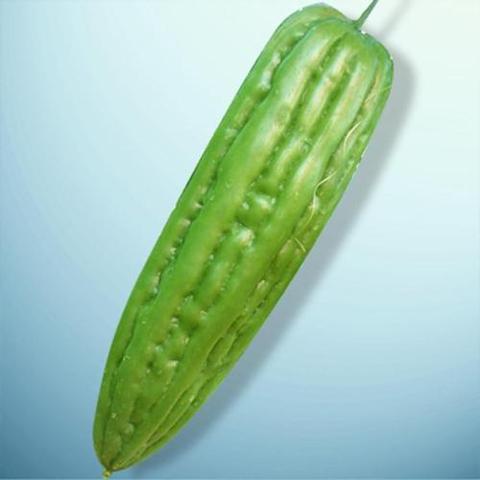 gourd seed, gourd seed direct from guangzhou lead you seed co.
