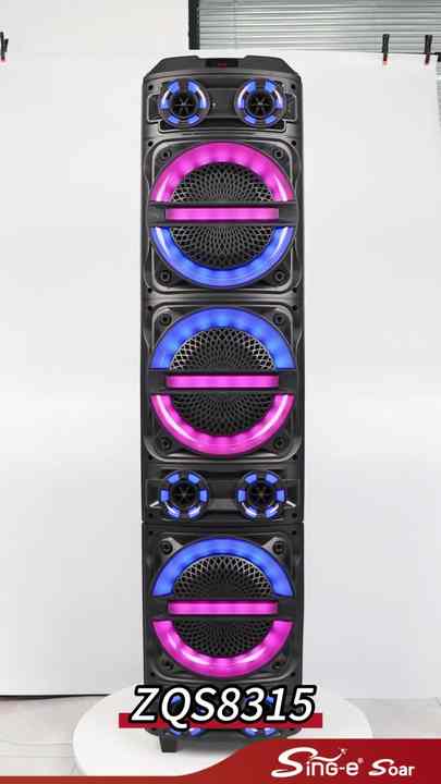 SING-E ZQS8315 taşınabilir RGB sahne performansı Karaoke