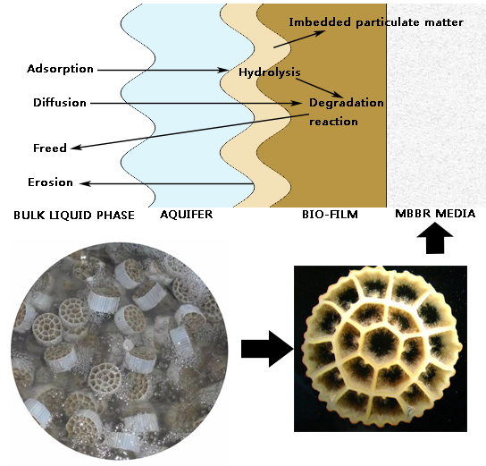 Virgin Media K1 K3 K5 Biofilm Carrier Moving Bed Biofilm Reactor Mbbr37 0